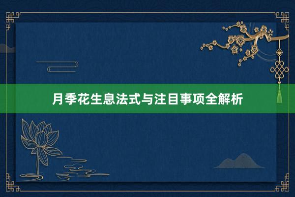 月季花生息法式与注目事项全解析