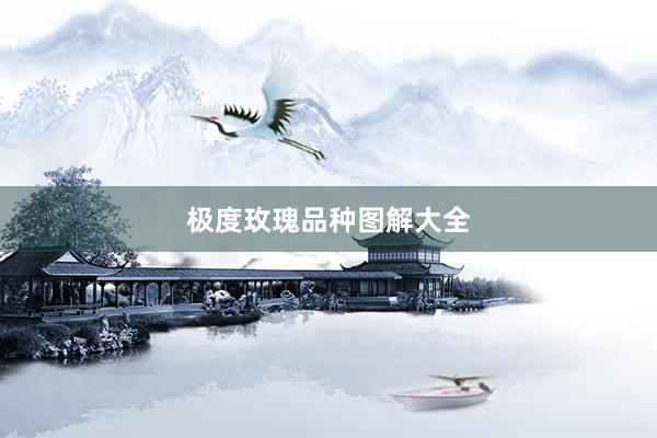 极度玫瑰品种图解大全