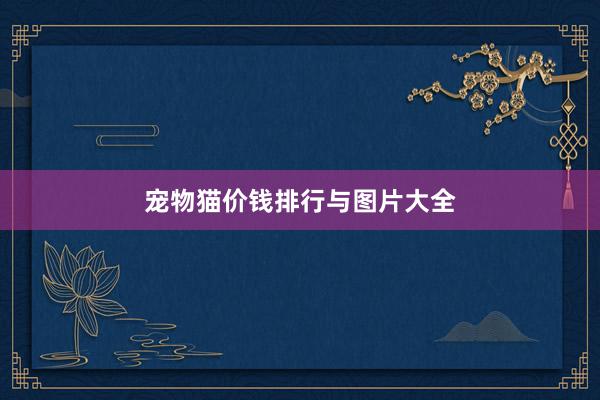 宠物猫价钱排行与图片大全