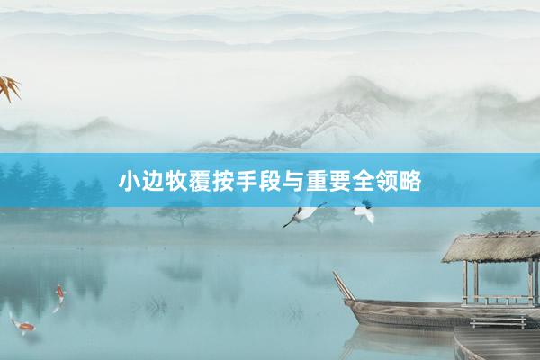 小边牧覆按手段与重要全领略