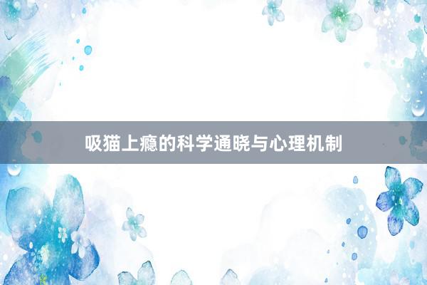 吸猫上瘾的科学通晓与心理机制
