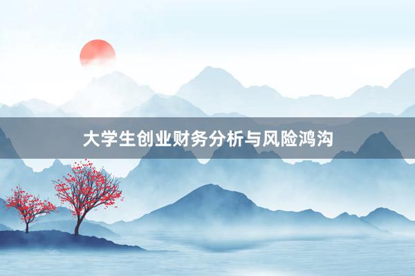 大学生创业财务分析与风险鸿沟